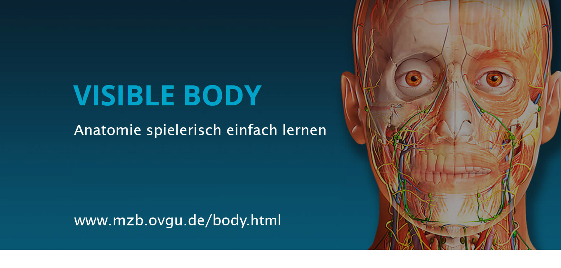 21-Visible-Body-Anatomietag